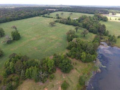 Pond on the property