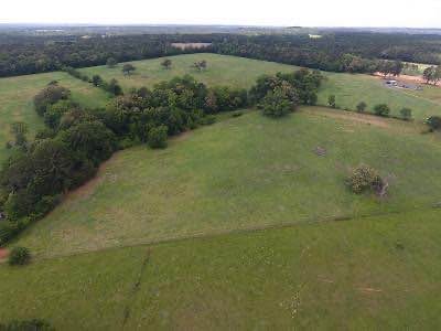Rolling pasture