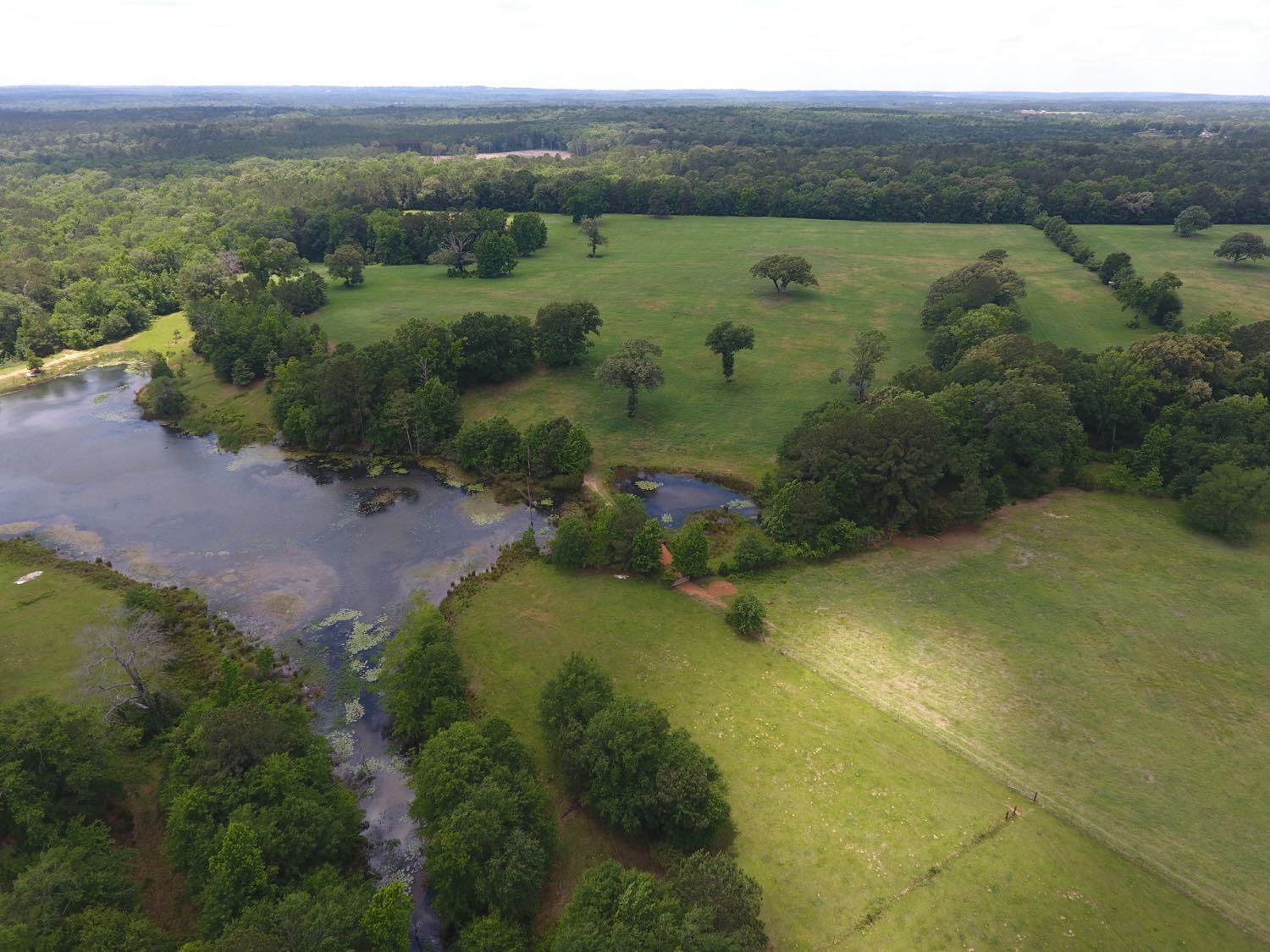 Aerial of a pond and open pasture