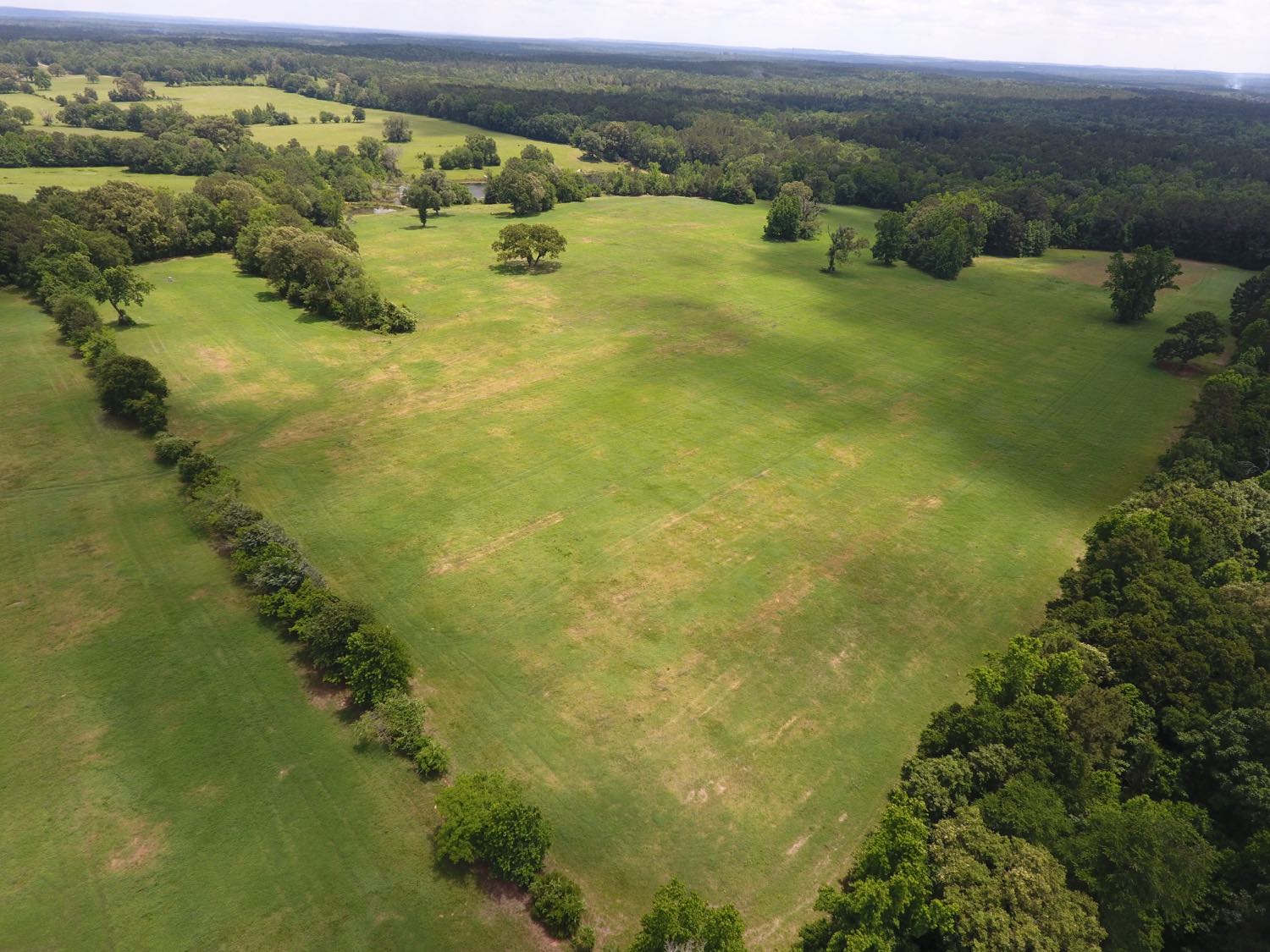 Green rolling pasture from above