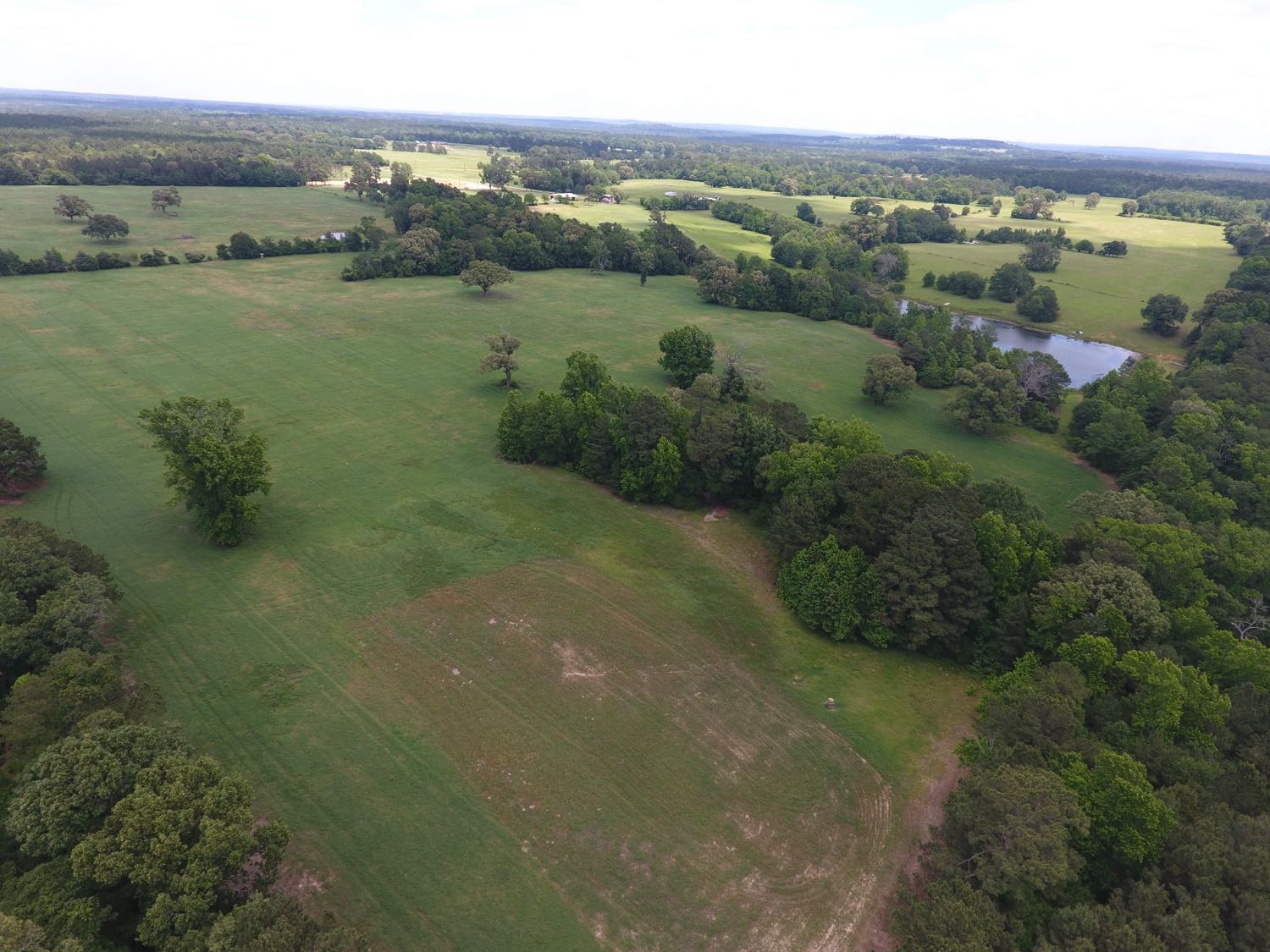 Wooded tree lines across the acreage